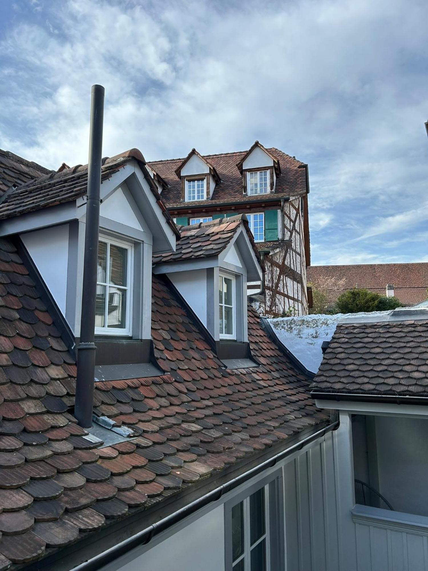 Rheinstream Guesthouse Basel Exterior photo