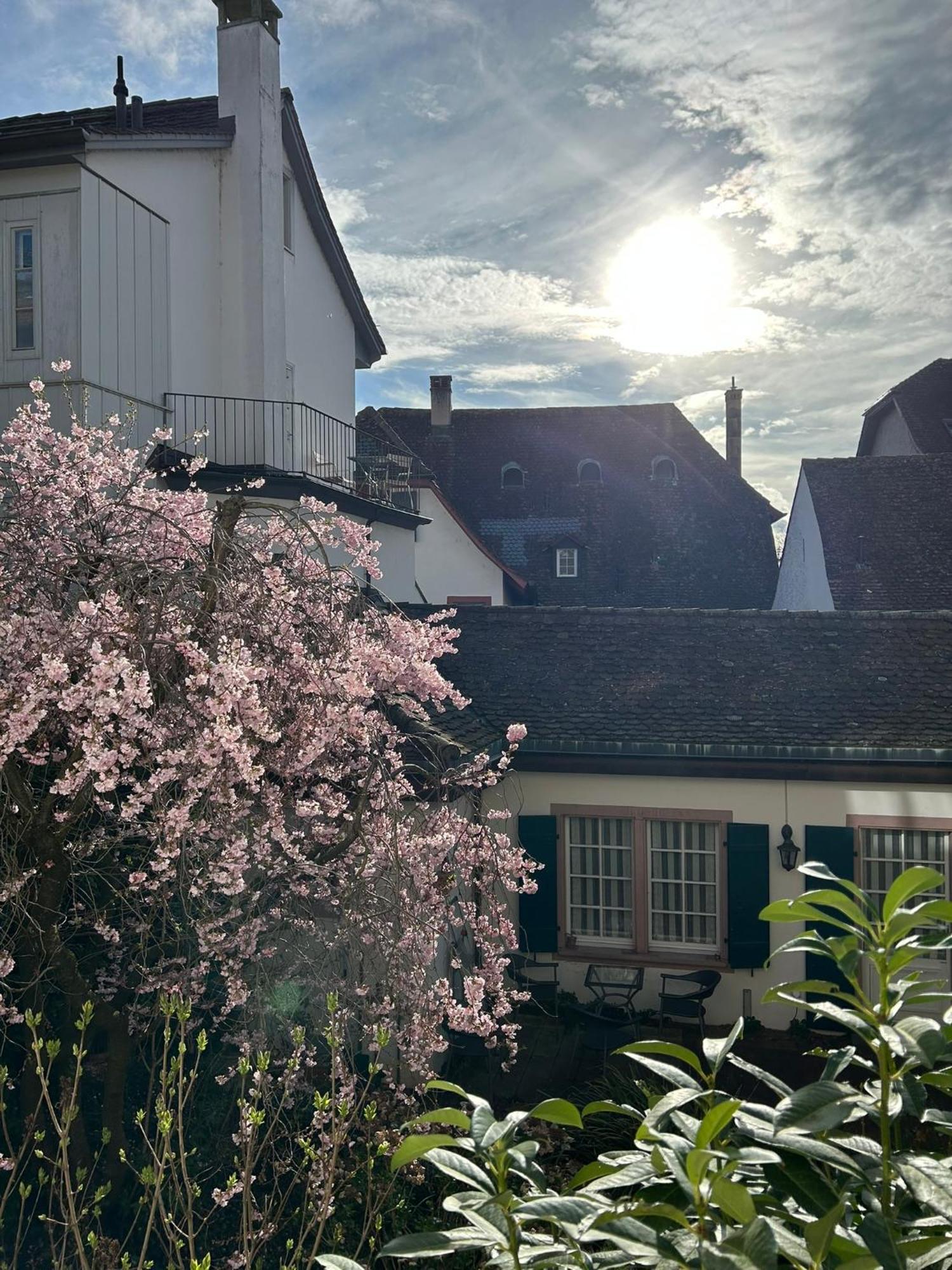 Rheinstream Guesthouse Basel Exterior photo